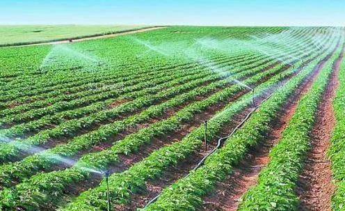 造逼片农田高 效节水灌溉
